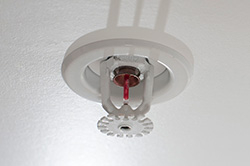 Laudo e ART Sprinklers